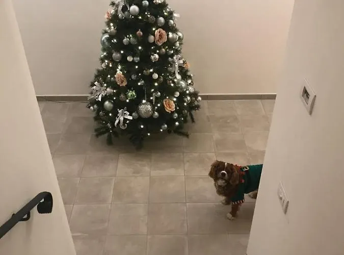 Vendégház Il Battello Cesenatico