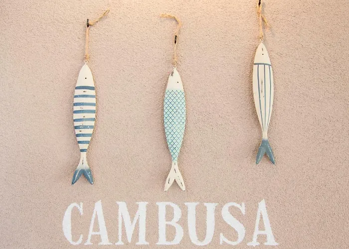 Il Battello 4* 체제나티코